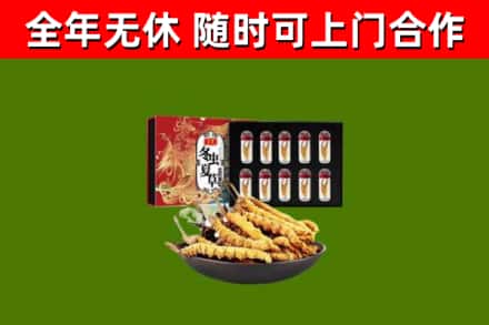 深汕回收冬虫夏草价格